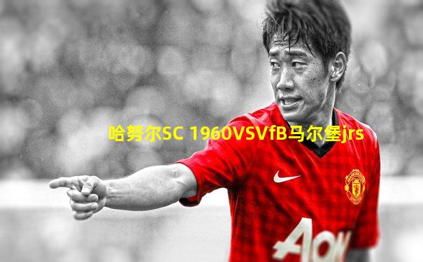 哈努尔SC 1960VSVfB马尔堡jrs
